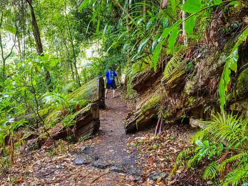 It's an easy walking track with steep inclines and declines