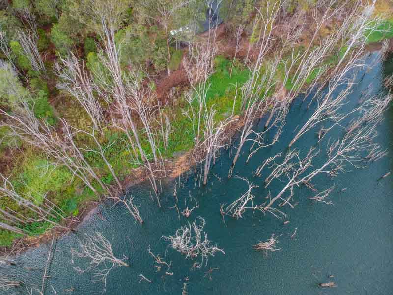 Springbrook National Park has many different places to explore