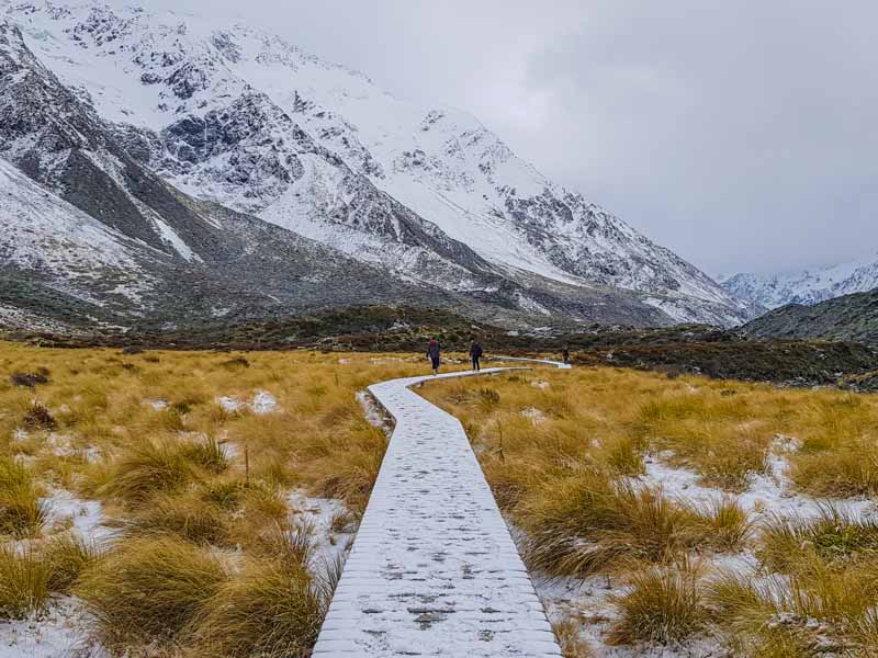 There is a wooden boardwalk to stop the vegetation destruction