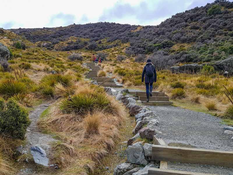 The Tasman River Walk has some stairs, but easy enough for a moderate fitness level