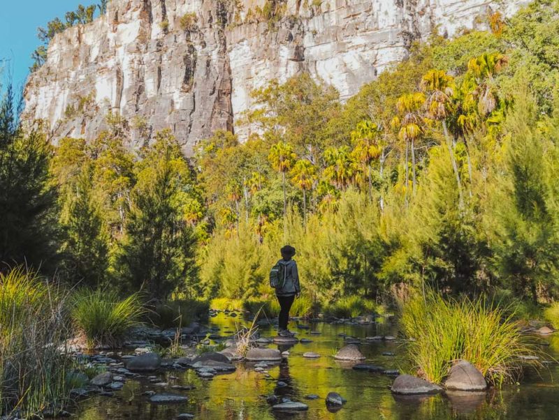 Aquarius traveller at Carnarvon Gorge