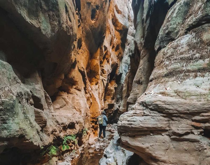 Mickey Creek & Warrumbah, Carnarvon Gorge
