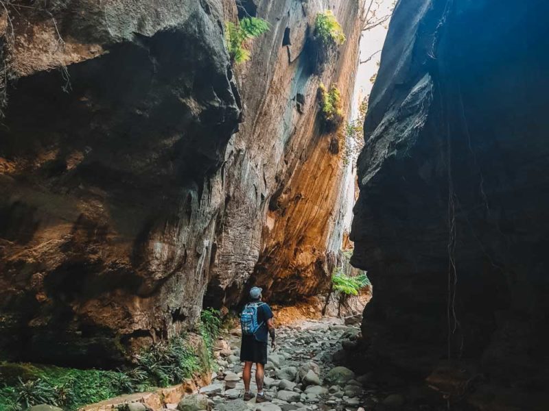 Mickey Creek & Warrumbah, Carnarvon Gorge