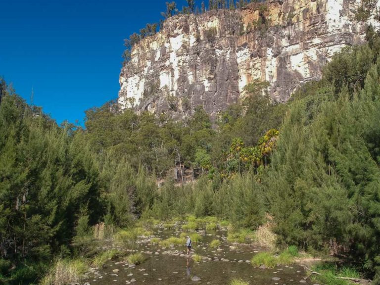 Carnarvon Gorge National park, Queensland Australia