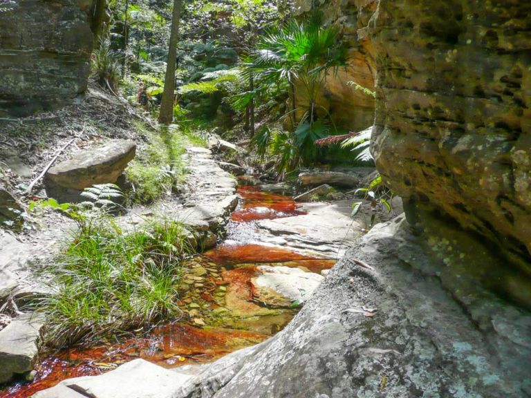 Wards Canyon, Queensland Australia