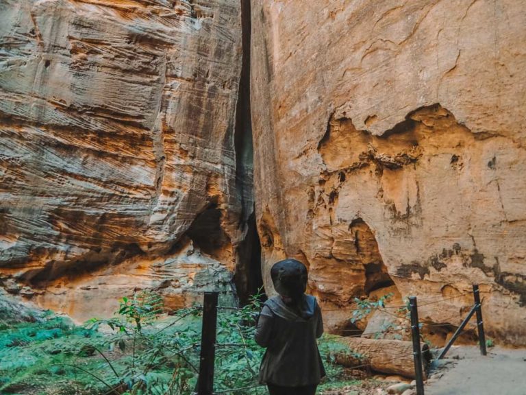 The Amphitheatre Carnarvon Gorge National Park, Queensland