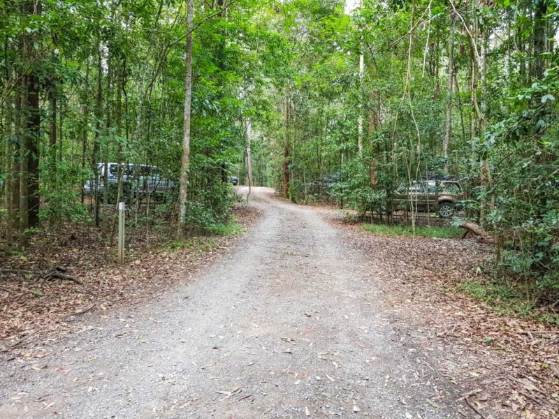 Camping Area 3 Conondale National Park