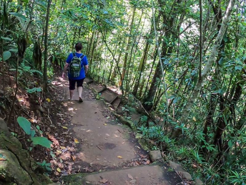 Aquarius Traveller on Ellinjaa Falls Walking track