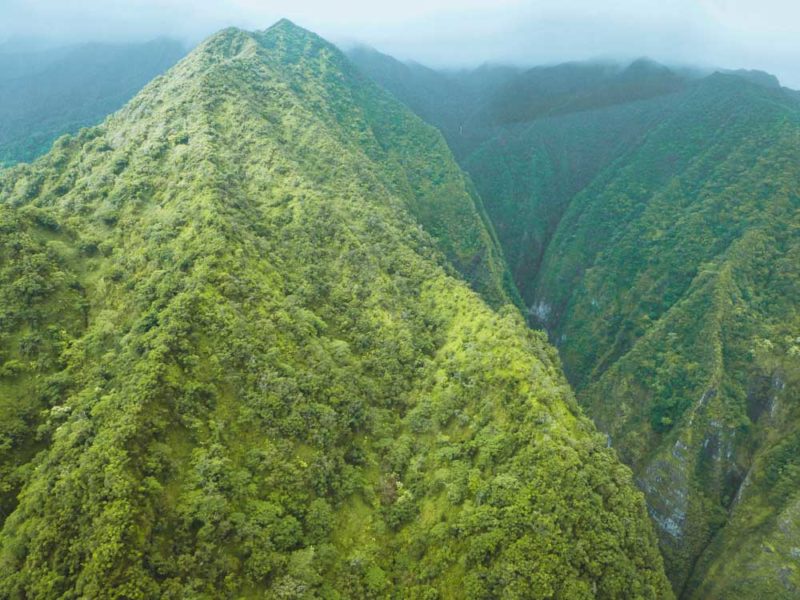 See some Jurassic Park Filming locations