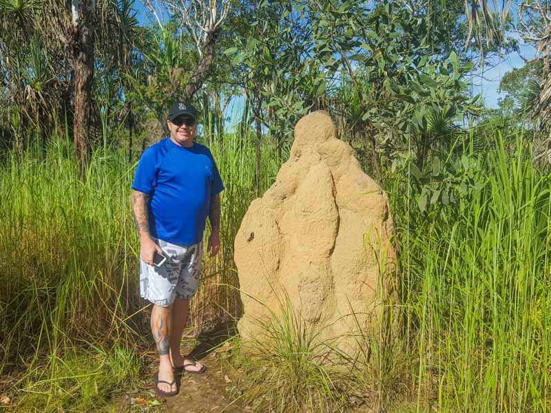 The Mounds in Litchfield National Park come in all different sizes