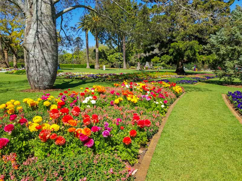 Toowoomba Carnival of Flowers