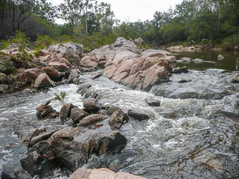 Hiking through the Crows Nest National Park
