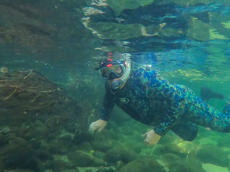Snorkelling in the Mossman River
