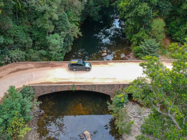 26 Cairns to Cooktown Road Trip Stops, via the Bloomfield Track!