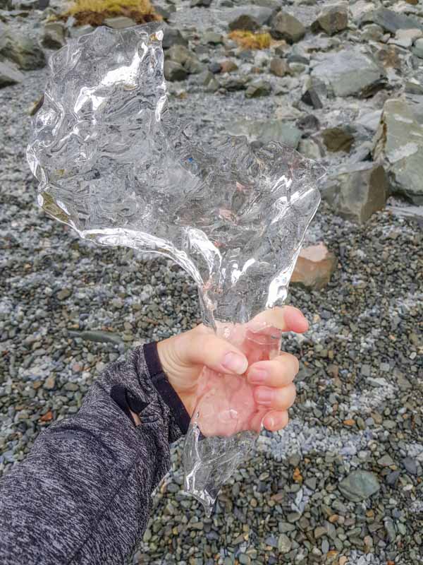 Chris holding one of the ice pieces that broken off the Hooker Lake Glacier and washed up on the beach