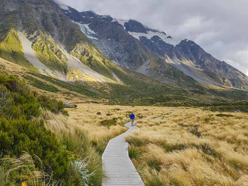 Walking Trail in March with lots of vegetation