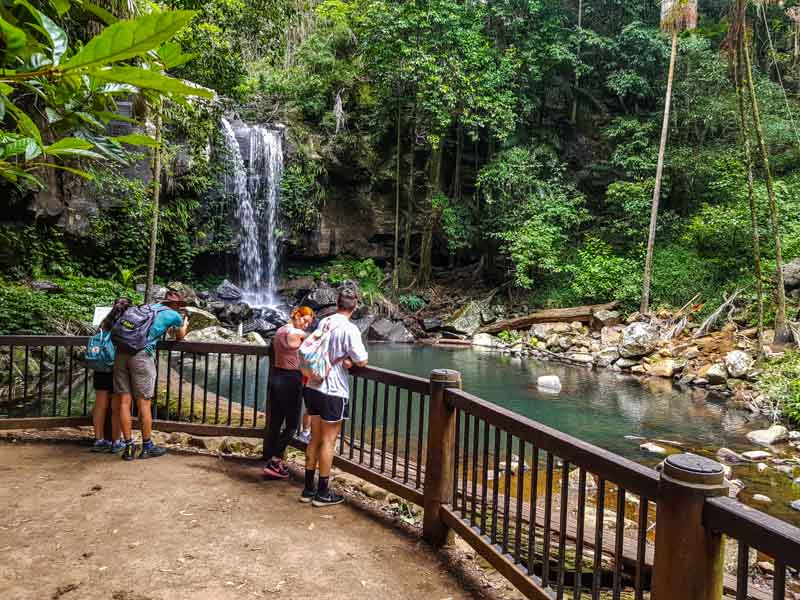 Curtis Falls in Mount Tamborine on the Gold Coast