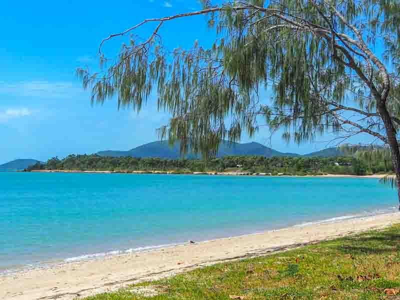 Dingo Beach