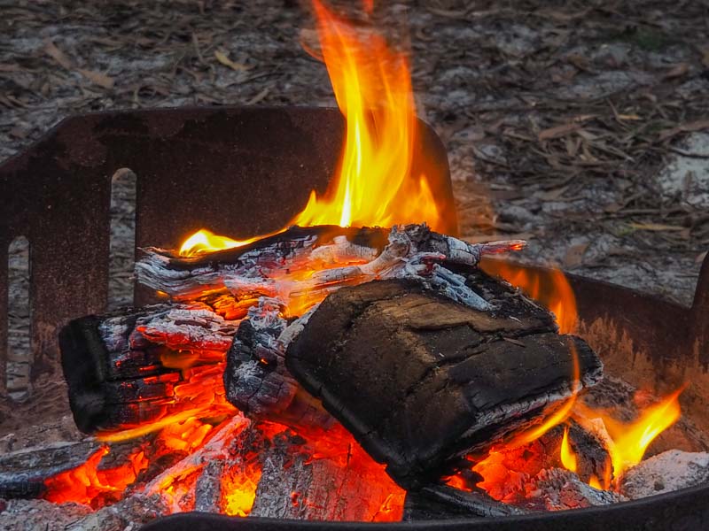 Fires are allowed, but check the park alerts for current restrictions