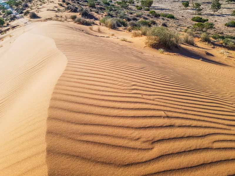 Ripple affects on the sand dunes
