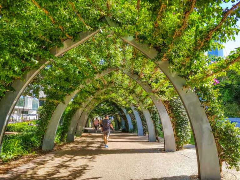 29 Things to do at South Bank Parklands(& Map) for First-Timers!