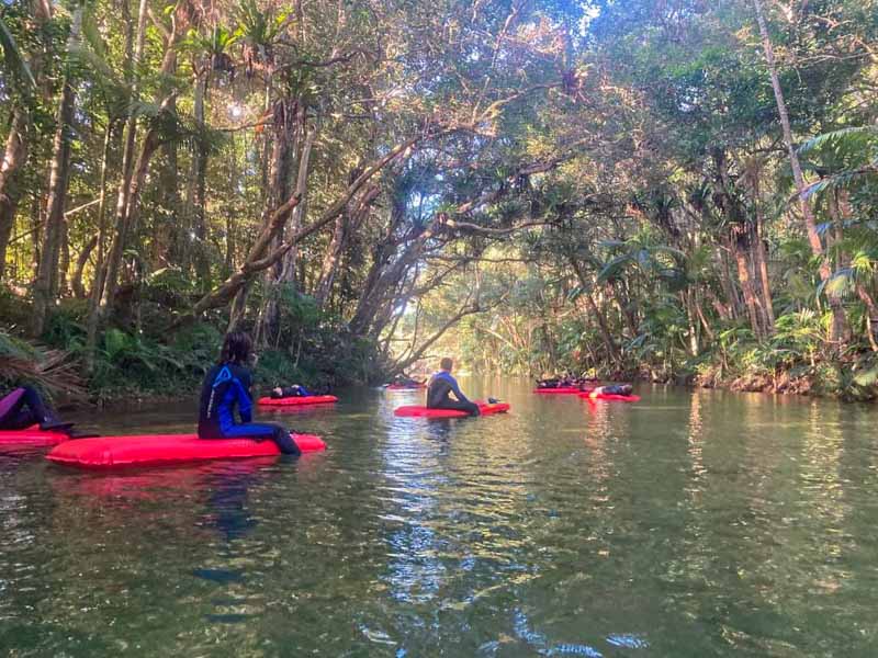 Calmly floating down the river on the Mossman River Drift tour in Port Douglas