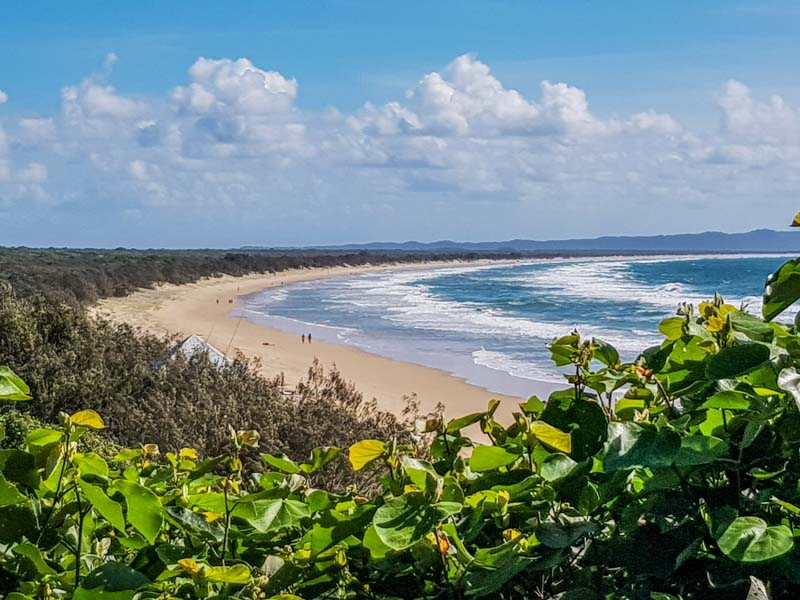 Lookout views of the beach and plants around Rainbow Beach